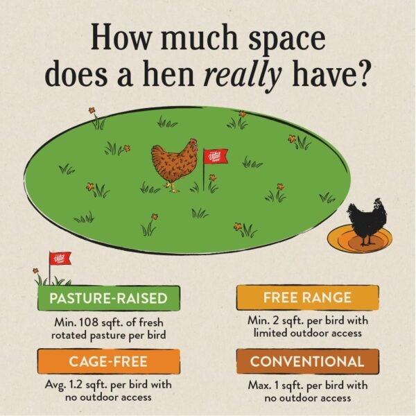 61hYKTMOZXL._SL1001_.jpg Vital Farms Organic Pasture-Raised Large Eggs 12ct
