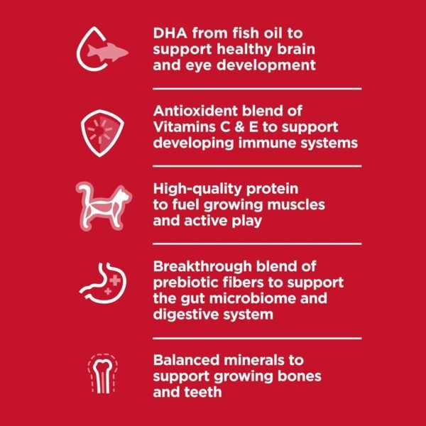 Hill's Science Diet Healthy Cuisine, Kitten, Great Taste, Wet Cat Food, Chicken & Rice Stew, 2.8 oz Can, Case of 24