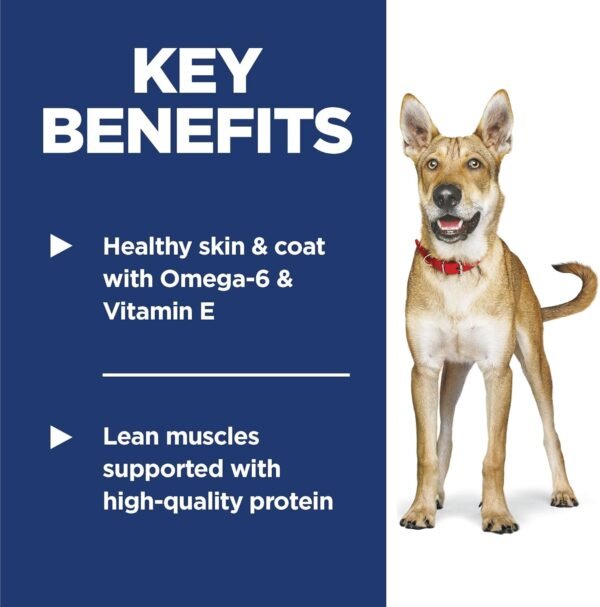 Hill's Science Diet Adult 1-6 Premium Nutrition Dry Dog Food, Lamb & Brown Rice, 15.5 lb. Bag