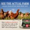 71cySlOnP5L._SL1001_.jpg Vital Farms Organic Pasture-Raised Large Eggs 12ct