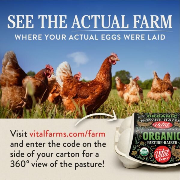 71cySlOnP5L._SL1001_.jpg Vital Farms Organic Pasture-Raised Large Eggs 12ct