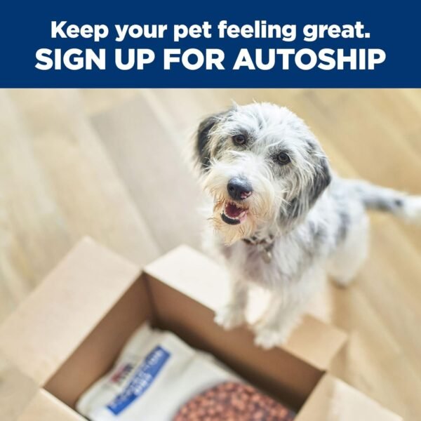 Hill's Prescription Diet i/d Digestive Care Chicken & Vegetable Stew Canned Dog Food, Veterinary Diet, 12.5 oz., 12-Pack Wet Food