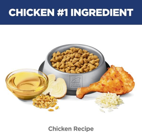 81JY4Tsm4L._AC_SL1500_.jpg Hill's Science Diet Hairball Control, Adult 1-6, Hairball Control Support, Dry Cat Food, Chicken Recipe, 7 lb Bag