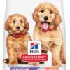 Hill's Science Diet Sensitive Stomach & Skin, Puppy, Stomach & Skin Sensitivity Support, Dry Dog Food, Salmon & Brown Rice, 4 lb Bag