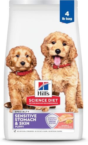 Hill's Science Diet Sensitive Stomach & Skin, Puppy, Stomach & Skin Sensitivity Support, Dry Dog Food, Salmon & Brown Rice, 4 lb Bag