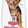 Hill's Science Diet Perfect Digestion, Adult 1-6, Small & Mini Breeds Digestive Support, Dry Dog Food, Chicken & Brown Rice, 3.5 lb Bag