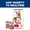 81OnmNGW1XL._AC_SL1500_.jpg Hill's Science Diet Healthy Cuisine, Adult 1-6, Great Taste, Wet Dog Food, Roasted Chicken, Carrots & Spinach Stew, 12.5 oz Can, Case of 12