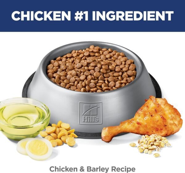 Hill's Science Diet Sensitive Stomach & Skin, Adult 1-6, Stomach & Skin Sensitivity Support, Small Kibble, Dry Dog Food, Chicken Recipe, 4 lb Bag