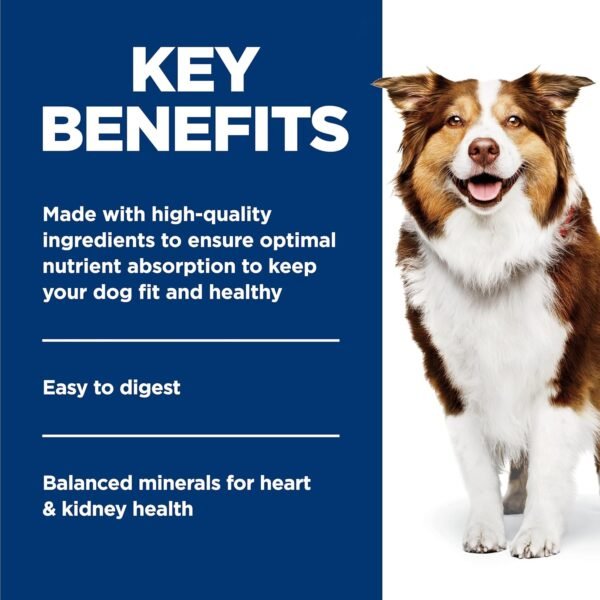 Hill's Science Diet Adult 7+, Senior Adult 7+ Premium Nutrition, Wet Dog Food, Beef & Vegetables Stew, 12.8 oz Can, Case of 12