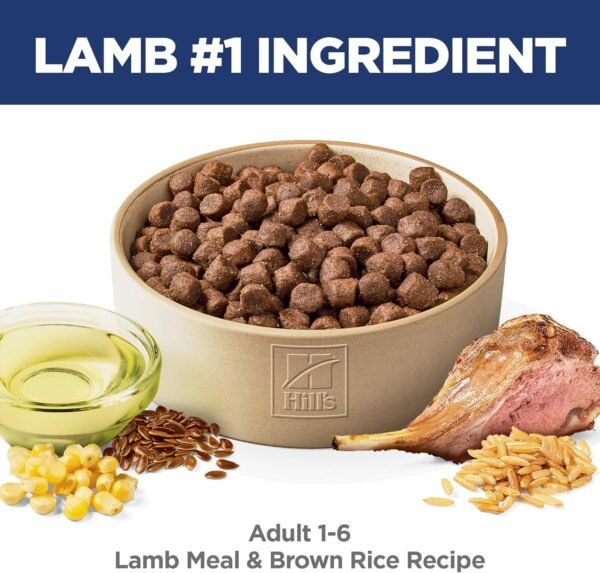 Hill's Science Diet Adult 1-6 Premium Nutrition Dry Dog Food, Lamb & Brown Rice, 15.5 lb. Bag