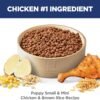 Hill's Science Diet Puppy Small & Mini Breeds Dry Dog Food, Chicken & Brown Rice, 12.5 lb. Bag