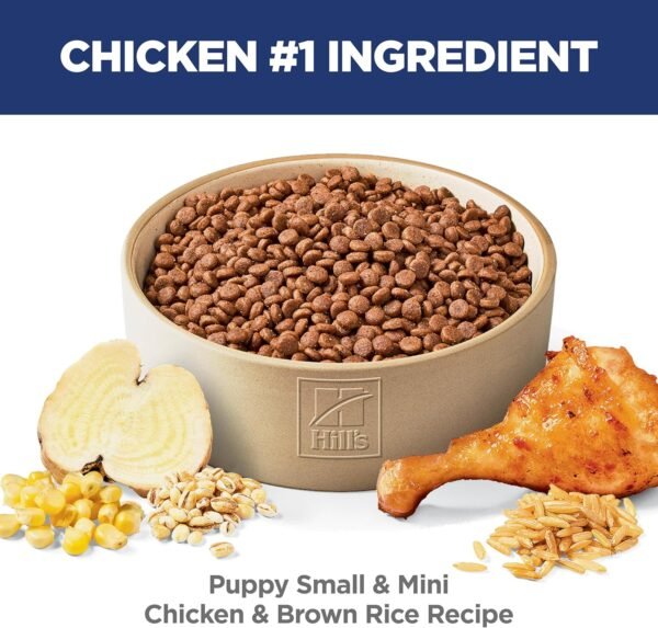 Hill's Science Diet Puppy Small & Mini Breeds Dry Dog Food, Chicken & Brown Rice, 12.5 lb. Bag