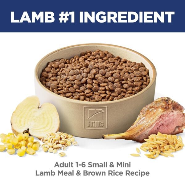 Hill's Science Diet Small & Mini, Adult 1-6, Small & Mini Breeds Premium Nutrition, Dry Dog Food, Lamb & Brown Rice, 4.5 lb Bag