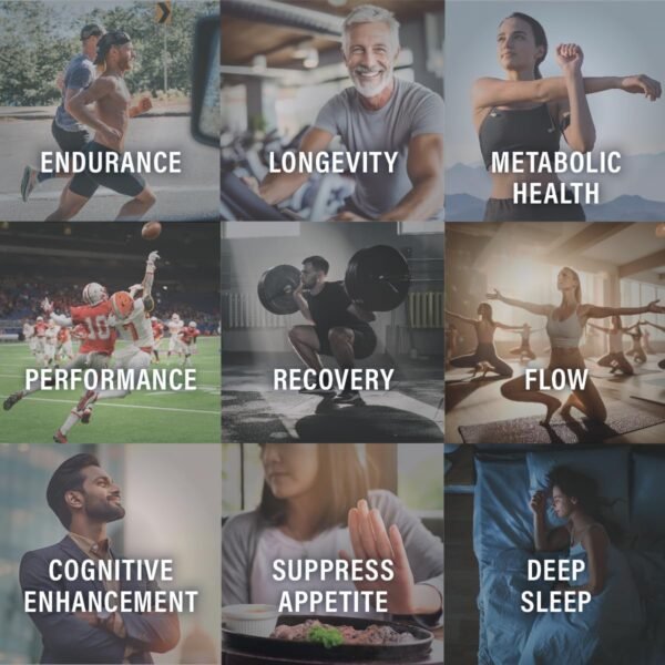 KetoneAid Ke4 Ketone Ester Concentrate | Not a Ketone Salt, No Sugar, No Caffeine | Exogenous D-BHB Ester | 12 Serving Per Bottle (1 Count)