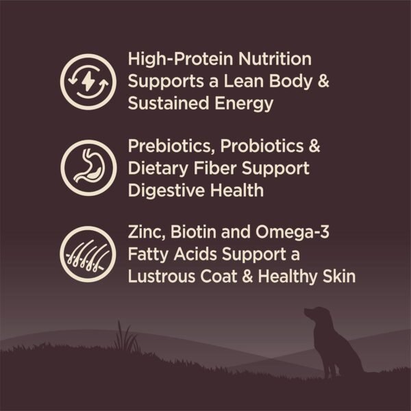 Wellness CORE Dry Dog Food, Small Breed, Grain-Free, High Protein, Natural, Original Turkey & Chicken Recipe, (4-Pound Bag)