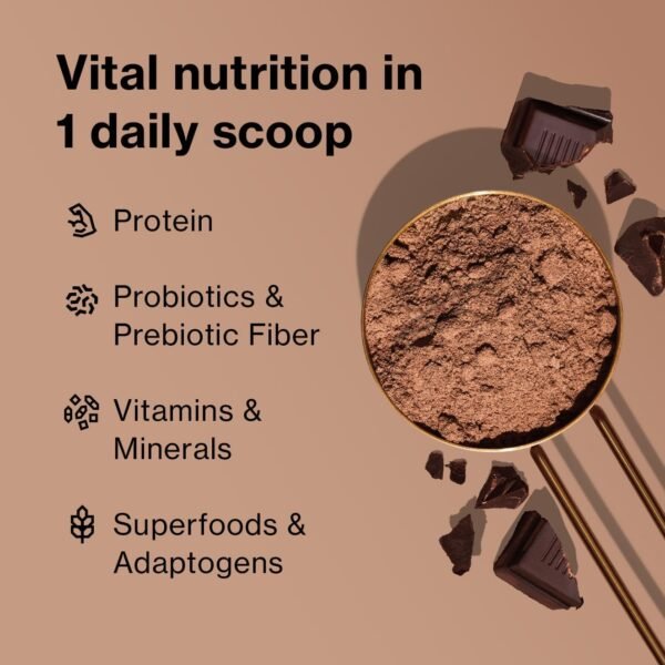 Shakeology Whey Protein Powder Blend - Gluten Free, Superfood Protein Shake with Vitamins and Minerals - Helps Support Healthy Weight Loss, Lean Muscle Support, Gut Health - Chocolate, 30 Servings