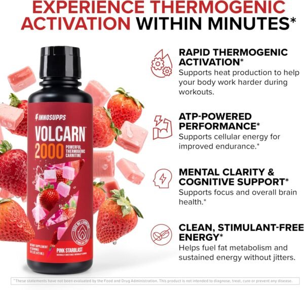 InnoSupps Volcarn 2000 - L-CARNITINE Pre-Workout Advanced Energy Liquid ATP Enhancer w/GBEEC Boosts Energy, Enhances Focus, Cognition & Supports Fat Metabolism, 32 Servings - Pink Starblast Flavor