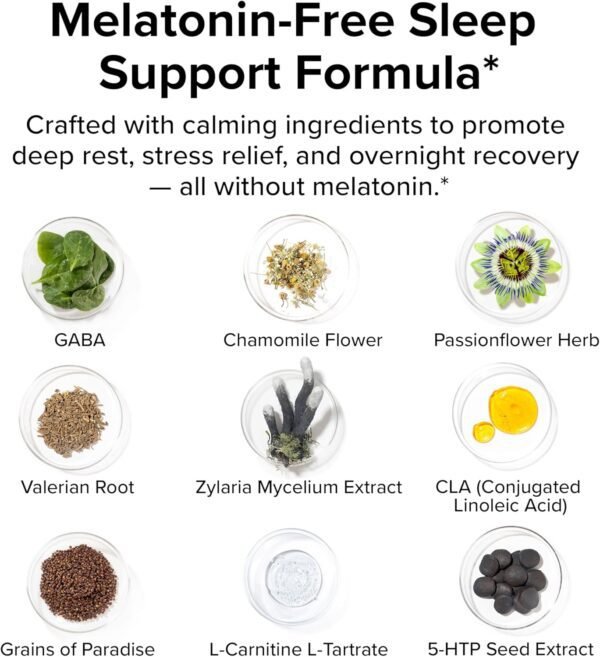 Night Shred Black Melatonin-Free Nighttime Fat Burner and Sleep Support Supplement - GABA Complex with Ashwagandha, CLA, Grains of Paradise, and Zylaria - Thermogenic Fat Burner - 90 Vegan Capsules