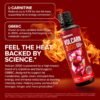 InnoSupps Volcarn 2000 - L-CARNITINE Pre-Workout Advanced Energy Liquid ATP Enhancer w/GBEEC Boosts Energy, Enhances Focus, Cognition & Supports Fat Metabolism, 32 Servings - Pink Starblast Flavor